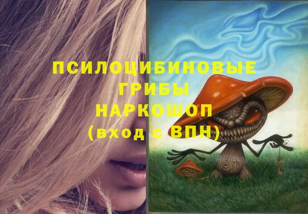 стаф Богданович