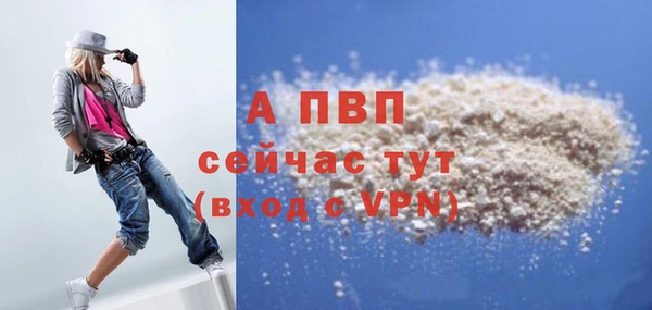 стаф Богданович