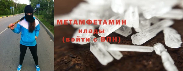 стаф Богданович