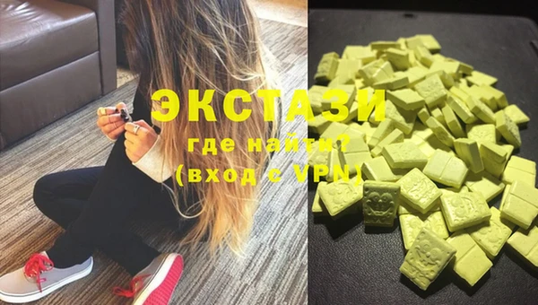 стаф Богданович