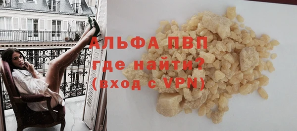 стаф Богданович