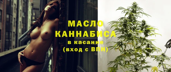 стаф Богданович
